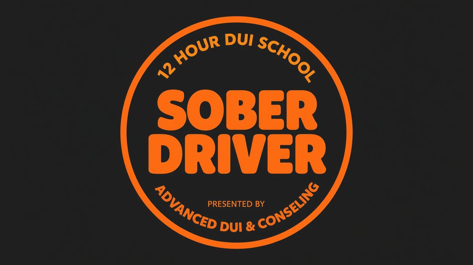 LEVEL 1, 12-HOUR SOBER DRIVER DUI SCHOOL